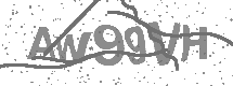 visual captcha
